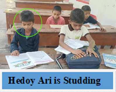 Hedoy Ari